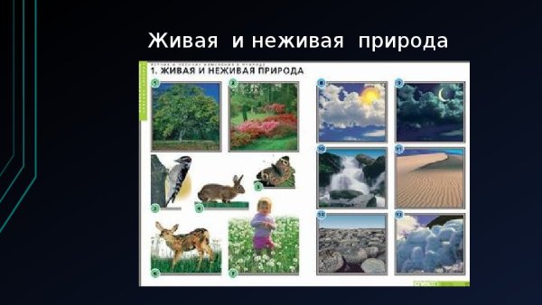 Живая и неживая природа 2 класс