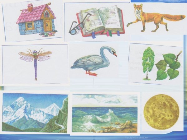 Объект природы рисунок