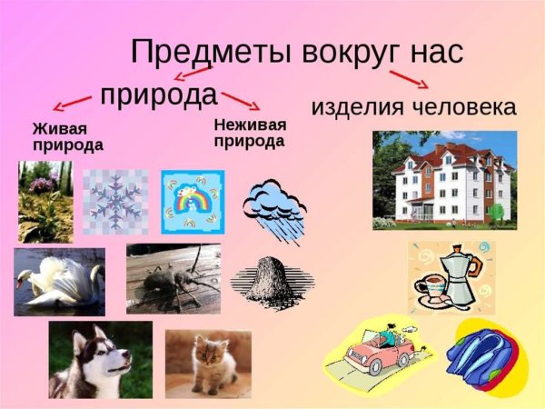 Предметы созданные природой