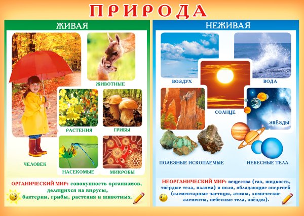 Что относится к неживой природе 1 класс