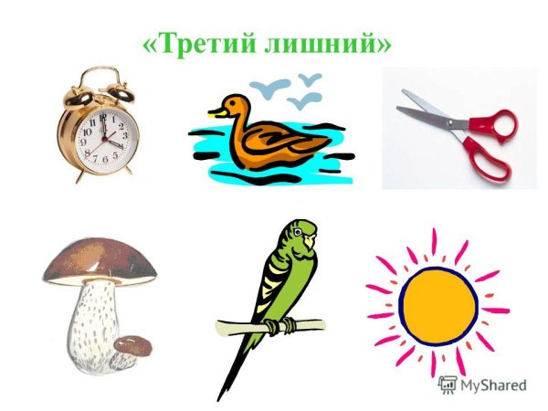 Предметы живой природы для дошкольников