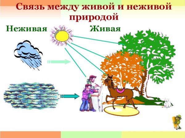 Схема связи живой и неживой природы
