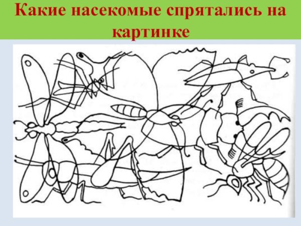 Задания по теме насекомые для дошкольников