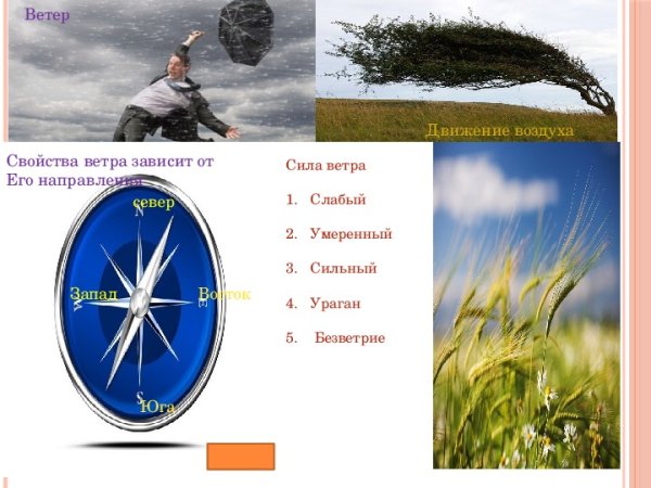 Сила ветра зависит