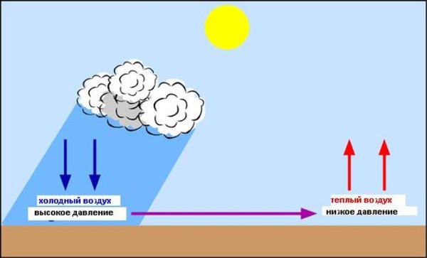 Схемовазникнавения Вера