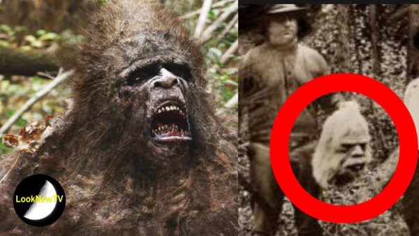 Йети бигфут сасквоч Леший