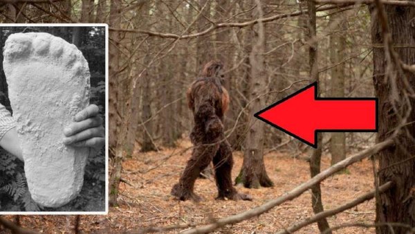 Отпечаток снежного человека