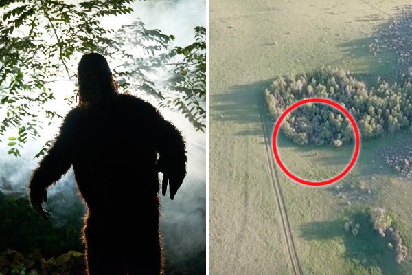 Бигфут монстр цветочный человек