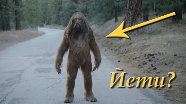 Снежный человек Йети снежный человек Йети