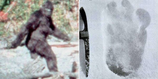 Етти снежный человек реальные