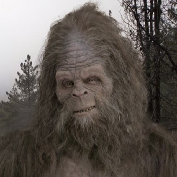 Снежный человек фото