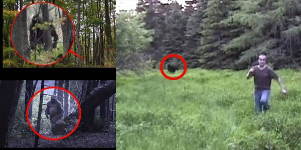 Существуют ли монстры в реальной жизни