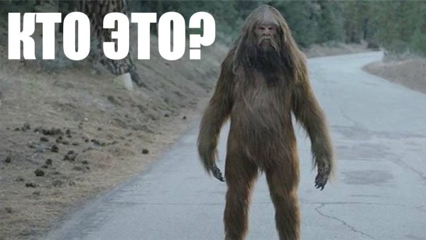 Лохматый Йети