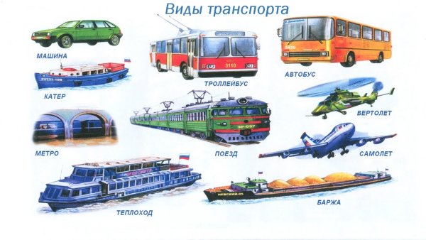 Виды транспорта