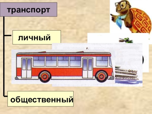 Виды транспорта личный и общественный
