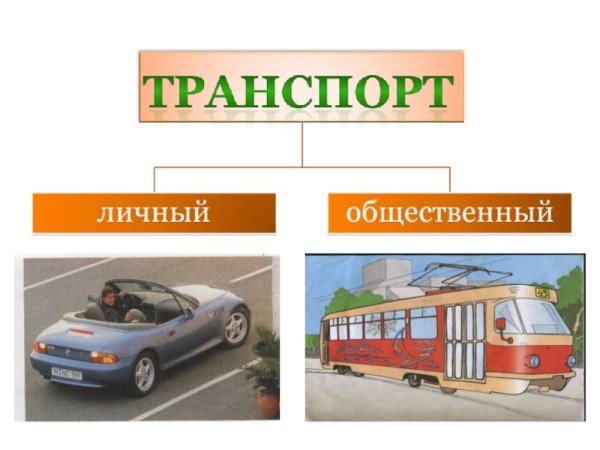 Окружающий мир. Транспорт