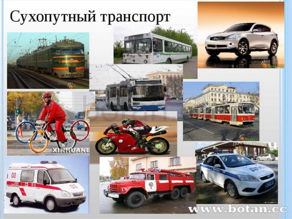Виды сухопутного транспорта