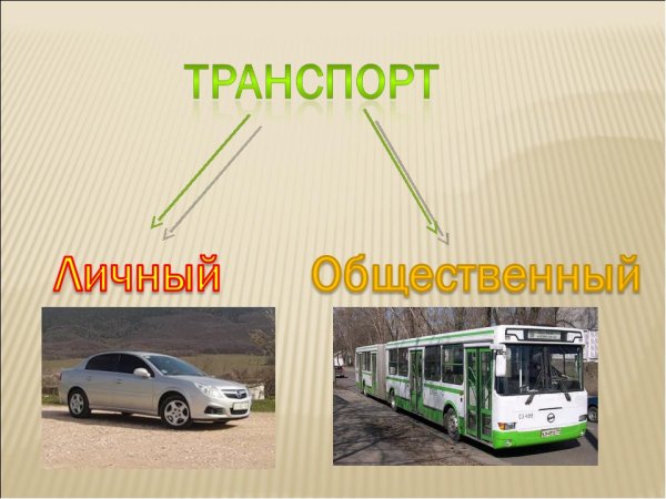 Личный и общественный транспорт