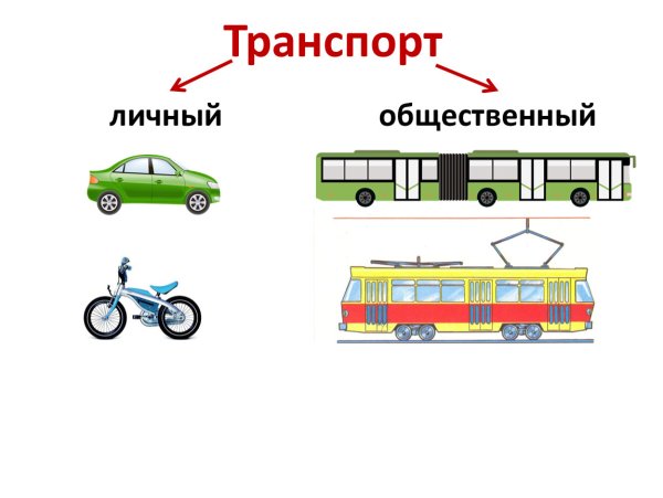 Личный и общественный транспорт