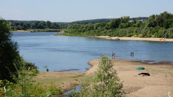 Таруса Ока пляж