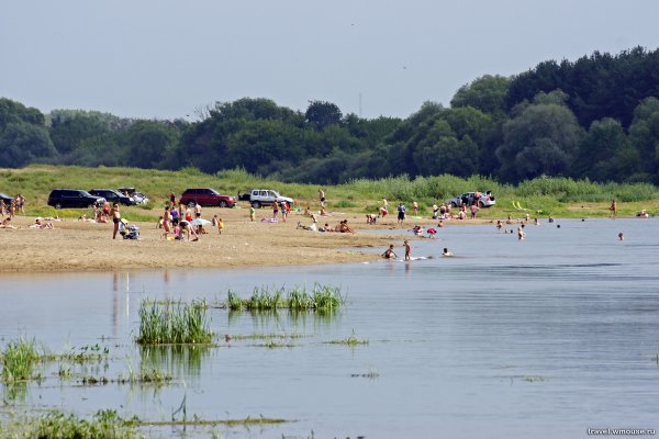 Белоомут Ока