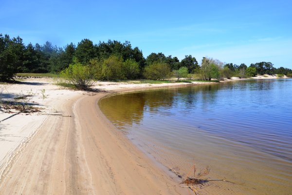 Пляж Ока Кузьмищево