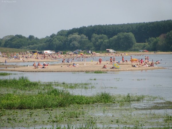 Ступино Ока пляж