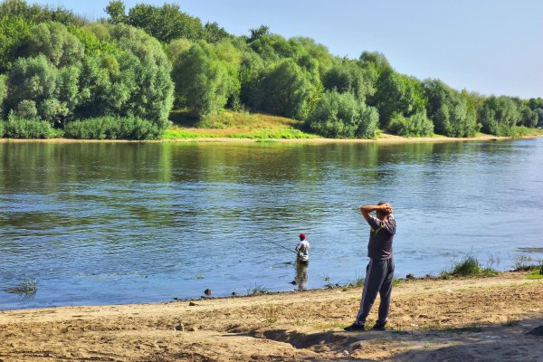 Таруса берег Оки рыболовы