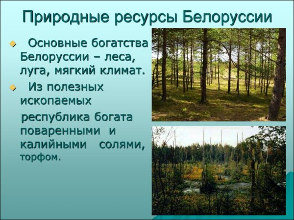 Беларусь презентация