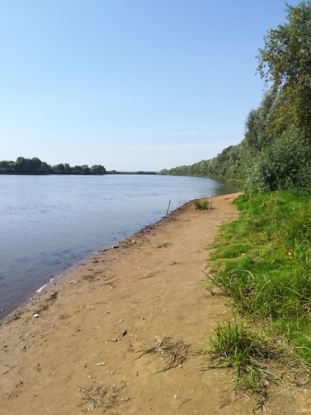 Кашира Ока пляж