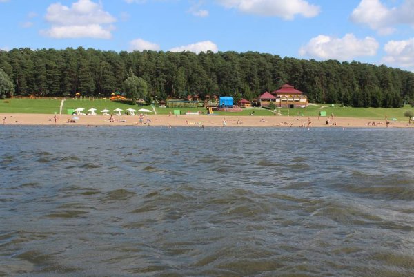 Алексин Бор Ока пляж