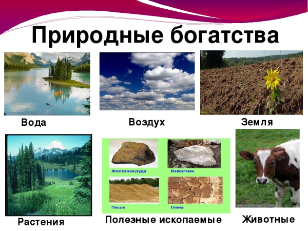 Природные богатства России