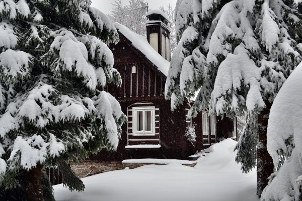 Домик в лесу зимой