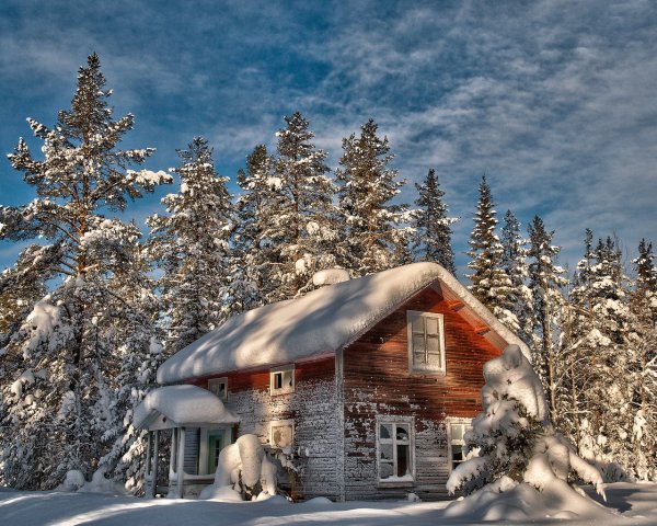 Домик в лесу зимой ( фото) - фото - картинки и рисунки: скачать бесплатно