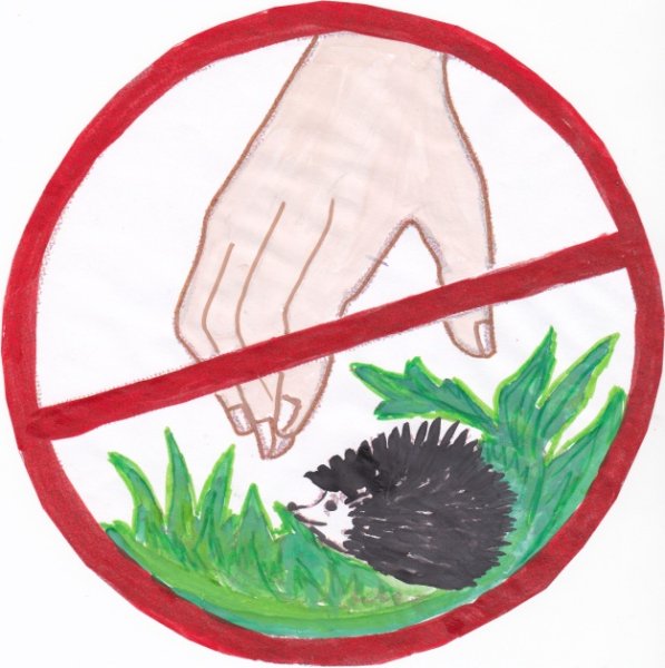 Знаки охраны природы