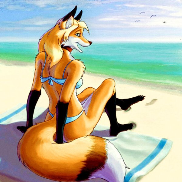 Лисичка на море