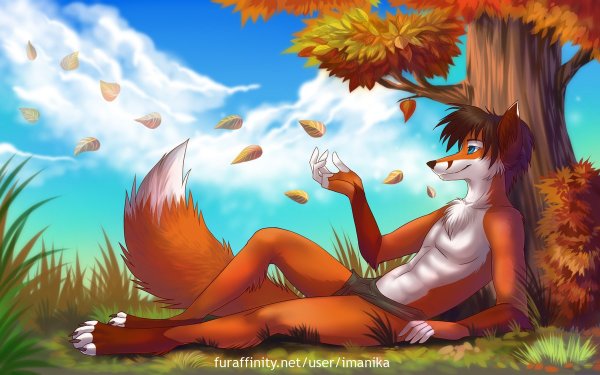 Фурри лисица imanika