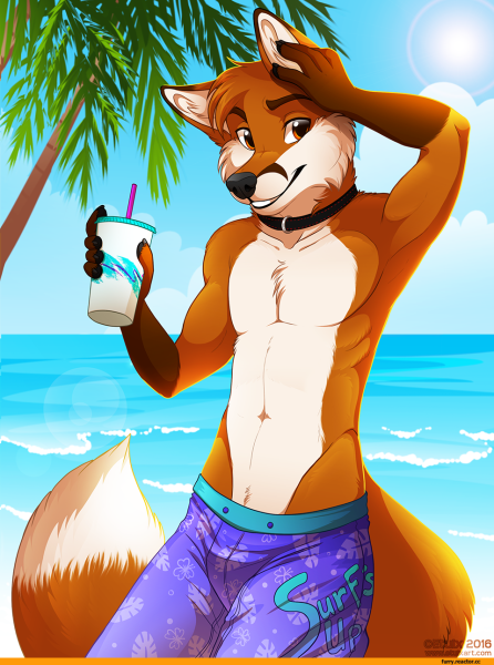 Фурри Лис самец