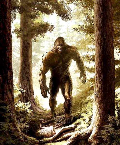 Лесные Йети