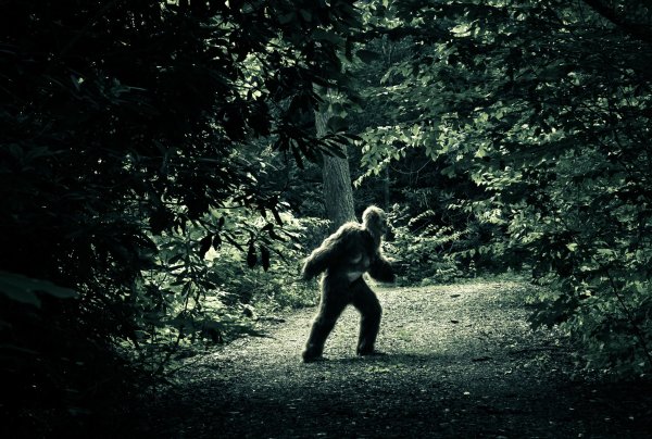 Бигфут Йети лес