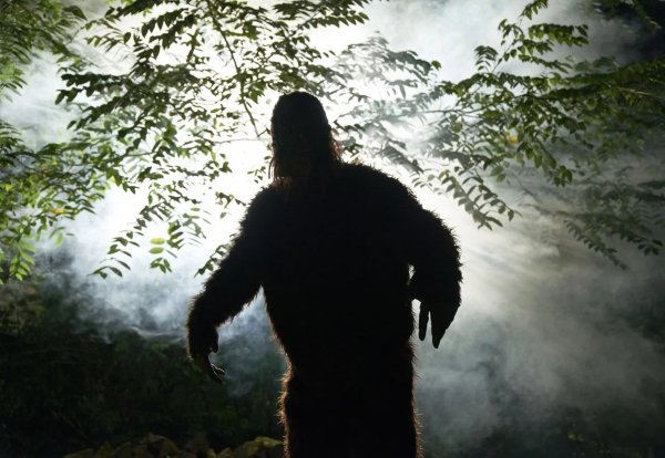 Бигфут монстр снежный человек