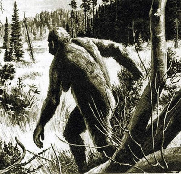 Лесные Йети