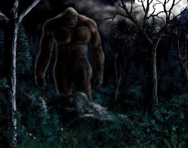 Sasquatch Sasquatch 2004