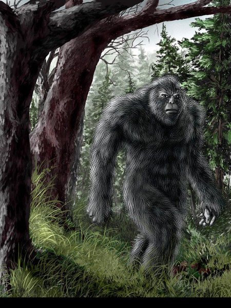 Бигфут сасквоч