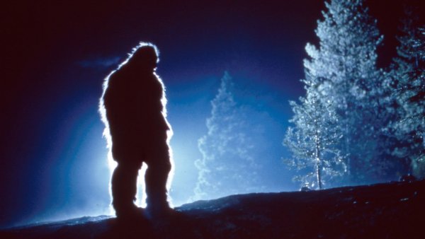 Снежный человек ночью