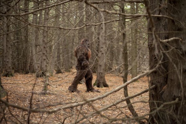 Охотники за Йети фильм 2005