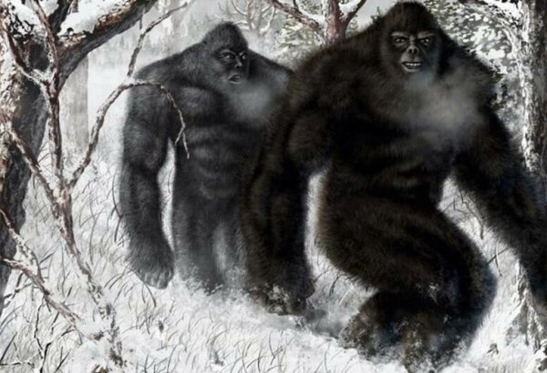 Йети бигфут сасквоч Леший