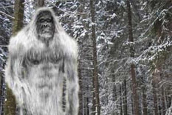 Кузбасский Йети