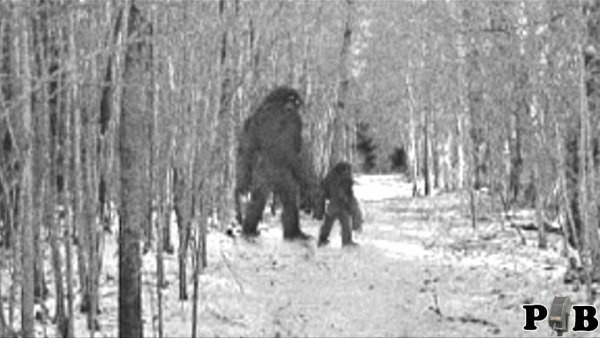 Снежный человек летом