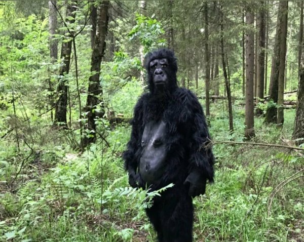 Гигантский снежный человек